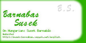 barnabas susek business card